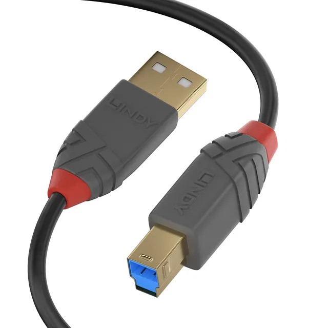 lindy-anthra-line-cavo-usb-3-2-tipo-a-a-tipo-b-2-m-5gbps image 1