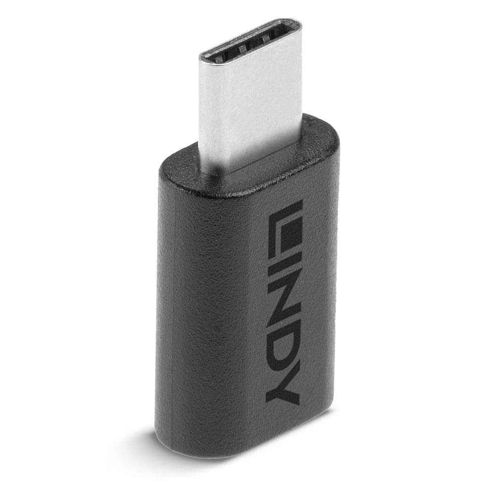 lindy-adattatore-usb-3-2-tipo-c-femmina-a-maschio-20gbps image 1