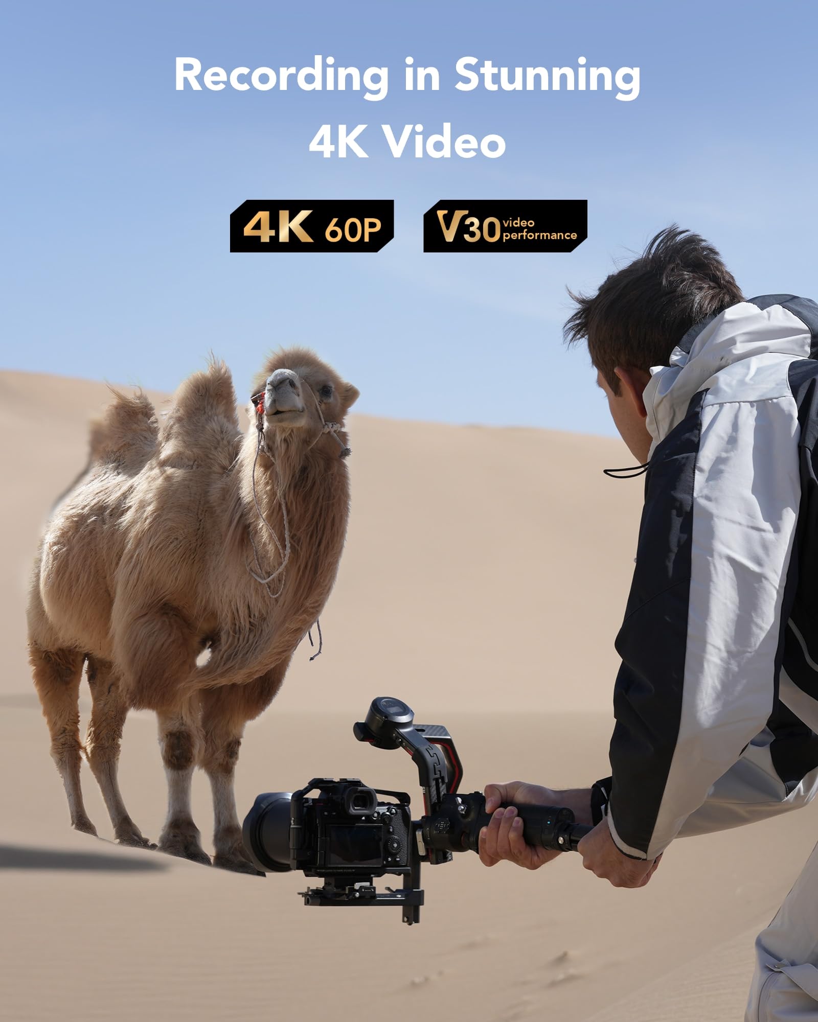 lexar-silver-sdxc-128gb-2-pack-uhs-i-u3-v30-205mb-s-per-foto-4k60 image 4