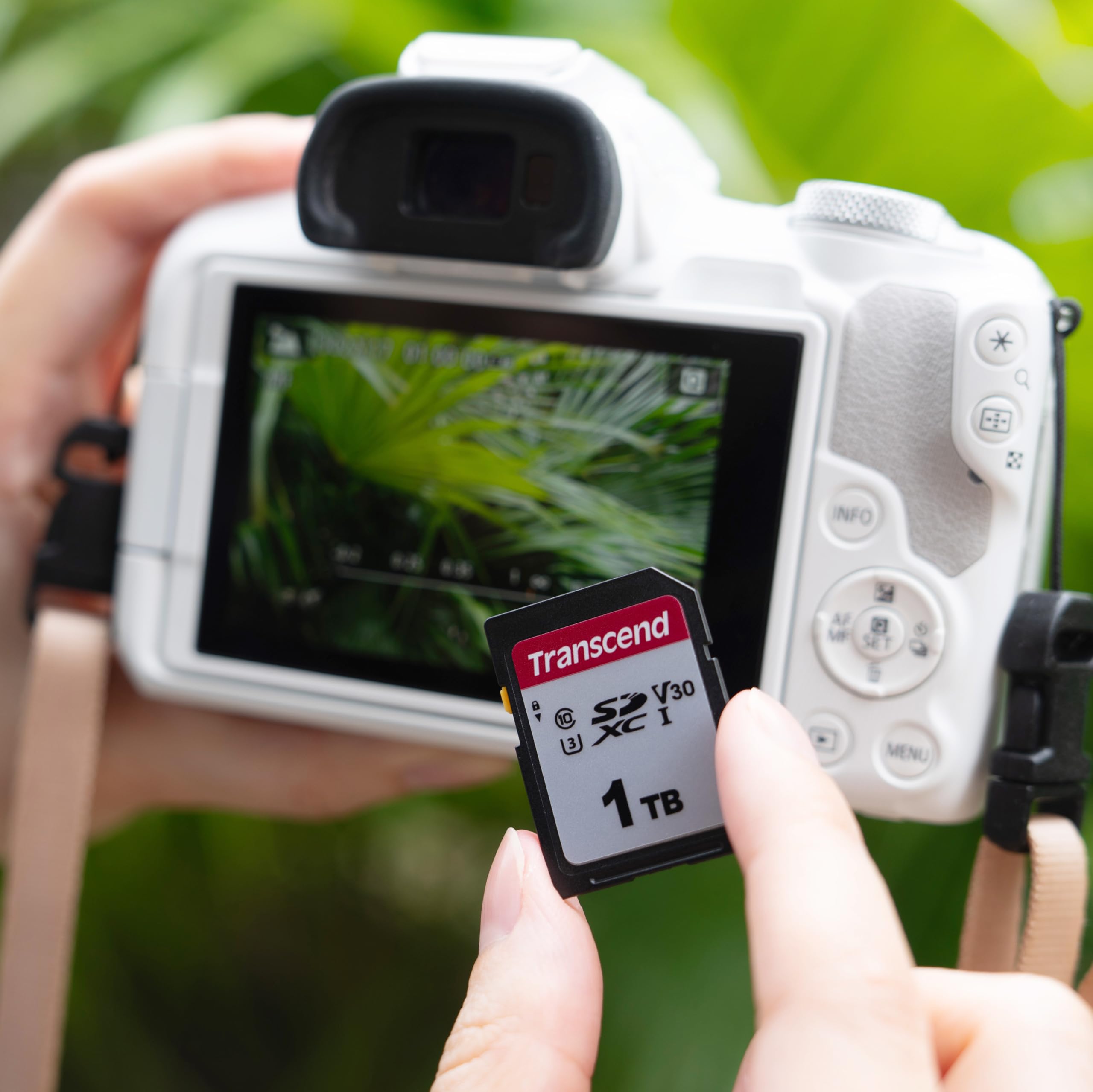 transcend-sdc300s-scheda-sdxc-8gb-uhs-i-v30-per-foto-e-4k image 3