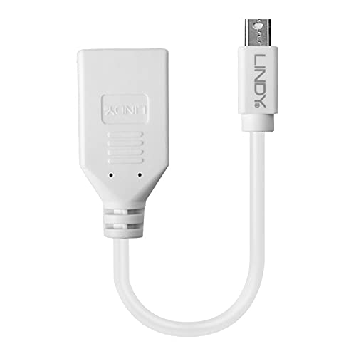 lindy-41021-adattatore-mini-displayport-maschio-a-displayport-femmina-20cm image 4