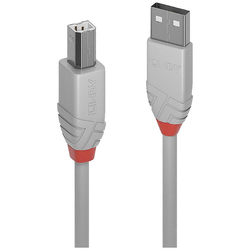 lindy-cromo-line-cavo-usb-2-0-tipo-a-maschio-0-5-m image 8