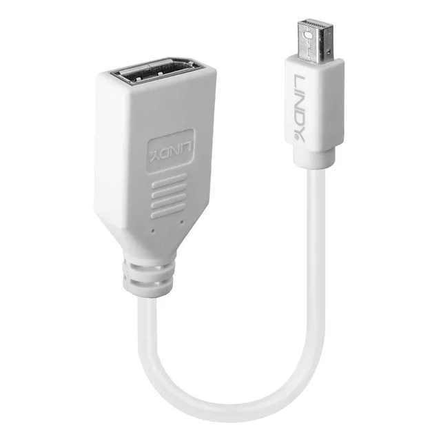 lindy-41021-adattatore-mini-displayport-maschio-a-displayport-femmina-20cm image 1