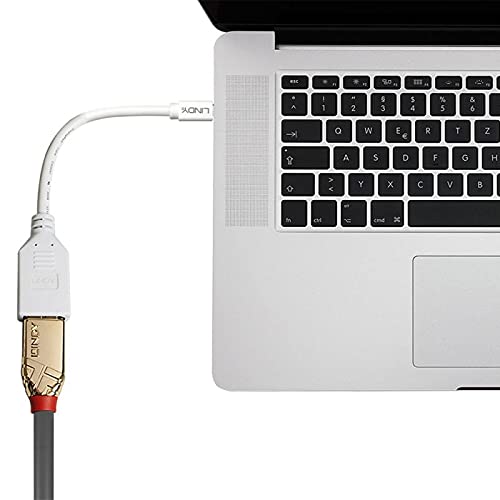 lindy-41021-adattatore-mini-displayport-maschio-a-displayport-femmina-20cm image 5