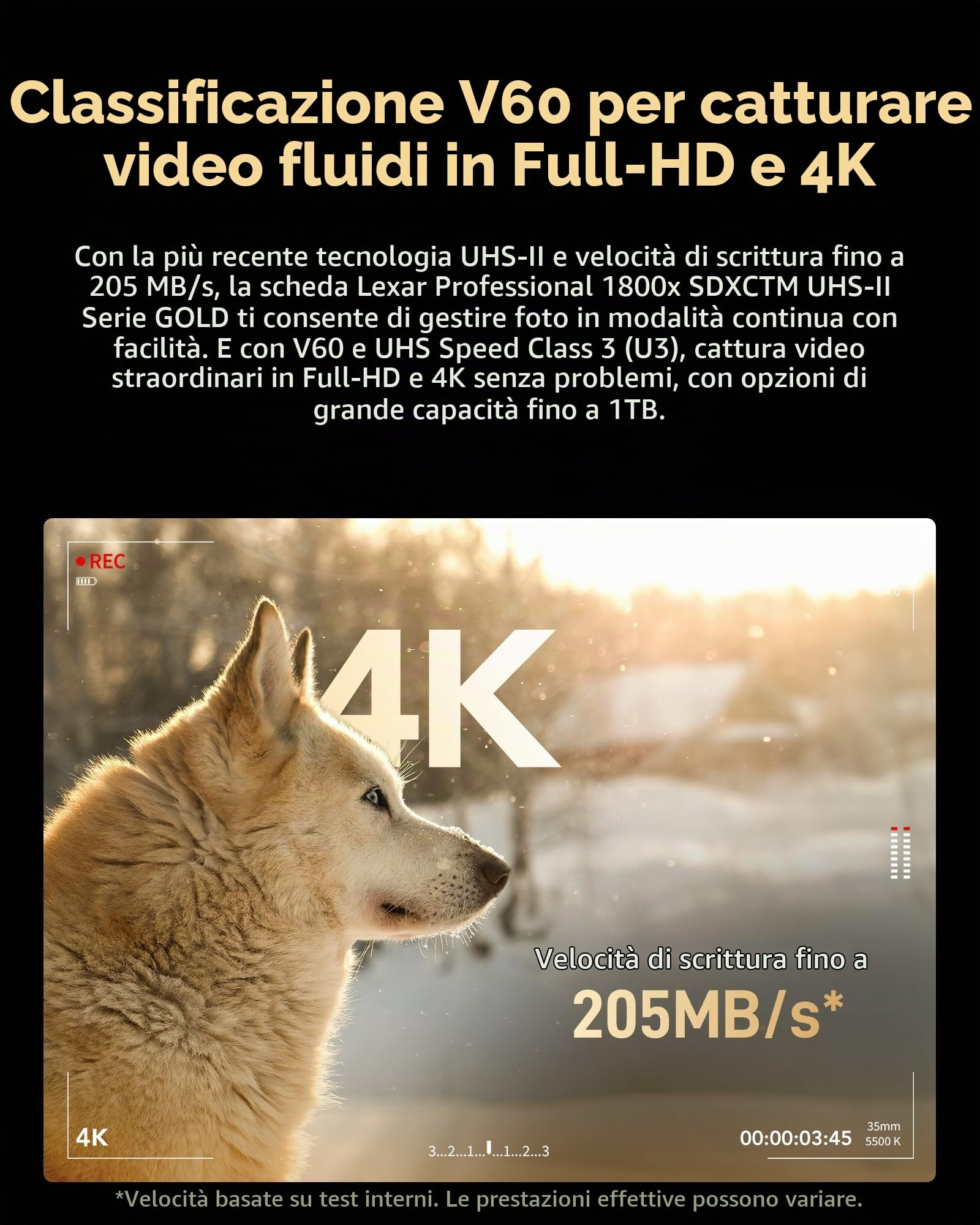 lexar-professional-gold-sdxc-256gb-1800x-uhs-ii-v60-4k image 5
