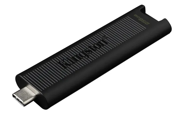 kingston-datatraveler-max-chiavetta-usb-c-3-2-gen-2-da-256gb image 1