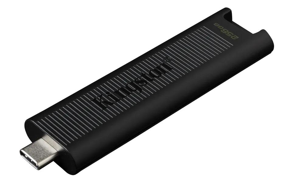 kingston-datatraveler-max-chiavetta-usb-c-3-2-gen-2-da-256gb image 1