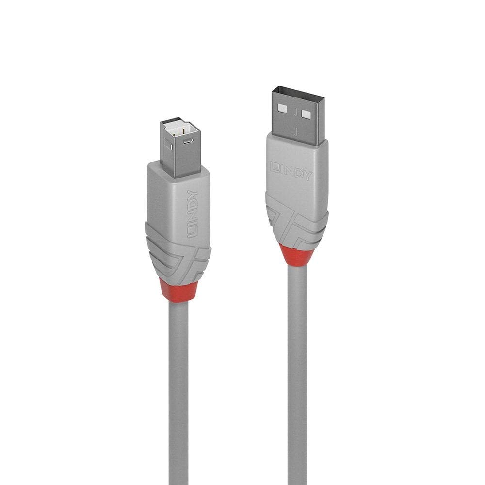 lindy-cromo-line-cavo-usb-2-0-tipo-a-maschio-0-5-m image 5